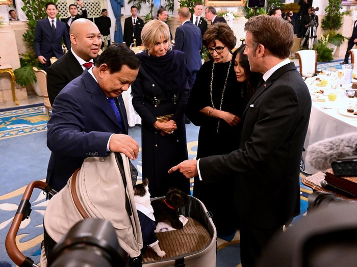 [Macron-Brigitte Terkejut dengan Kucing Prabowo di Istana: Bobby Kertanegara?]