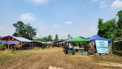 Lahan BMKG dan GRIB: Pedagang Sapi Terjebak dalam Kebingungan