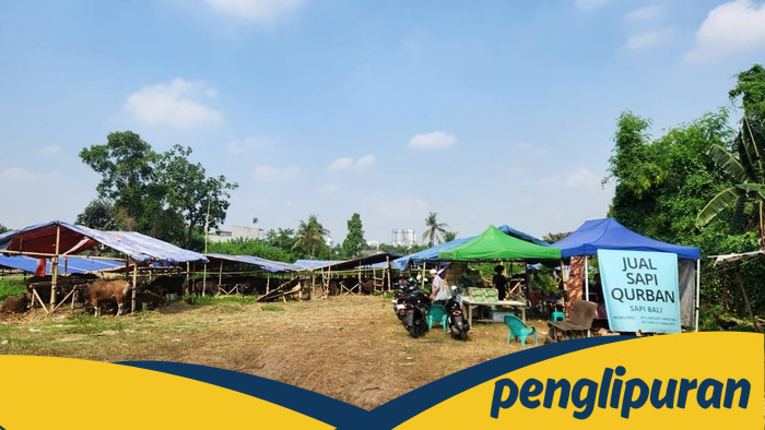 Lahan BMKG dan GRIB: Pedagang Sapi Terjebak dalam Kebingungan