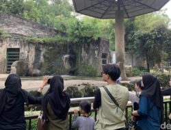 “Healing Murah Meriah Ala Warga Jakarta di Ragunan, Solusi Kesehatan yang Ternyata Ampuh!”