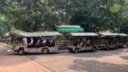 “Gratis Masuk Ragunan, Warga Senang Peserta KJP Plus: Ini Cara Ngirit!”