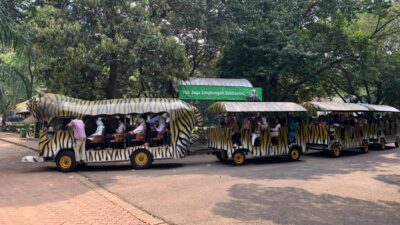 “Gratis Masuk Ragunan, Warga Senang Peserta KJP Plus: Ini Cara Ngirit!”