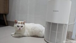“Majikan Sehat, Anabul Tenang: Review Xiaomi Smart Pet Care Air Purifier”