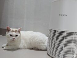 “Majikan Sehat, Anabul Tenang: Review Xiaomi Smart Pet Care Air Purifier”