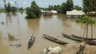 Pilu 150 Orang Tewas Akibat Banjir Bandang di Nigeria – Update 2