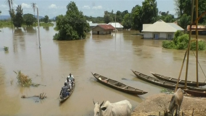 Pilu 150 Orang Tewas Akibat Banjir Bandang di Nigeria - Update 2