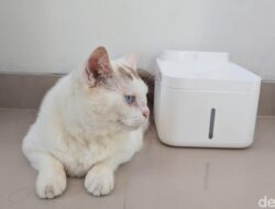 Review Xiaomi Smart Pet Fountain 2: Anabul Sehat, Majikan Tak Repot – Update 1