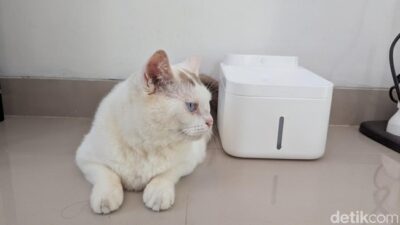Review Xiaomi Smart Pet Fountain 2: Anabul Sehat, Majikan Tak Repot – Update 1