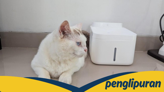 Review Xiaomi Smart Pet Fountain 2: Anabul Sehat, Majikan Tak Repot - Update 1