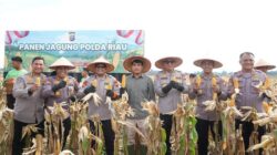 “82 Ton Jagung dari Polda Riau, Dukung Swasembada Pangan demi Kebutuhan Rakyat!”