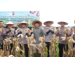 “82 Ton Jagung dari Polda Riau, Dukung Swasembada Pangan demi Kebutuhan Rakyat!”