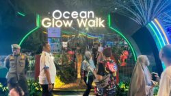 “Bawah Laut Jakarta yang Jarang Diketahui: Keindahan Menyihir di ‘Illumination Island'”