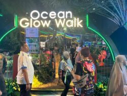 “Bawah Laut Jakarta yang Jarang Diketahui: Keindahan Menyihir di ‘Illumination Island'”