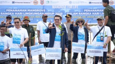 Freeport & KLH Akselerasi Program Mangrove di Kalsel, Target 10 Ribu Hektare Hingga 2041