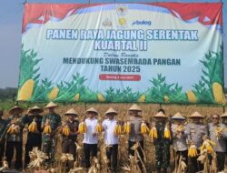 Dukung Ketahanan Pangan, Kapolda Banten-Andra Soni Ajak Masyarakat Panen Raya Jagung
