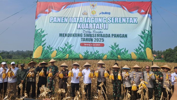 Dukung Ketahanan Pangan, Kapolda Banten-Andra Soni Ajak Masyarakat Panen Raya Jagung