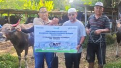 Idul Adha 2025, Pelindo Petikemas Siapkan 30 Juru Sembelih Halal