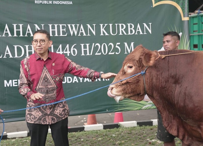 26 Sapi Limosin dan 7 Kambing Dikurbankan Kemenbud jelang Idul Adha, Simbol Perjuangan dan Iman