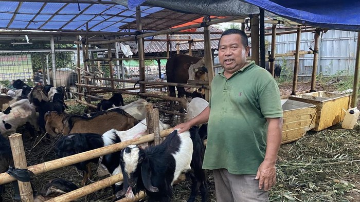 [Depok: Hewan Kurban Menangis, Pedagang Tjerita Sebelum Idul Adha]