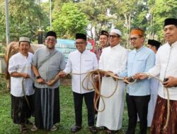 Andra Soni Saksikan Sapi Kurban Prabowo Disembelih: Kita Salurkan ke Warga – Update 2