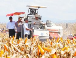 Swasembada Pangan Prabowo Dapat Dukungan Kapolri Lewat Gudang-Gudang Jagung!
