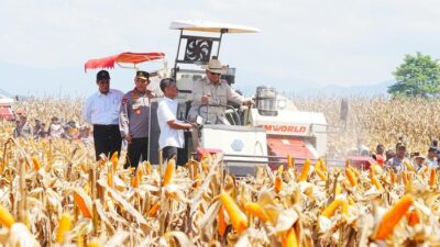 Swasembada Pangan Prabowo Dapat Dukungan Kapolri Lewat Gudang-Gudang Jagung!