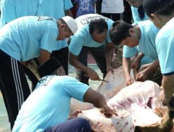 Lapas Cipinang Terima 10 Sapi-14 Kambing, Dirjenpas: Warga Binaan Nikmati Kurban – Update 2