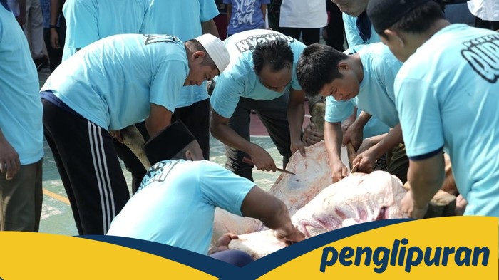 Lapas Cipinang Terima 10 Sapi-14 Kambing, Dirjenpas: Warga Binaan Nikmati Kurban - Update 2