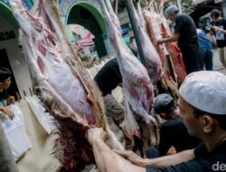 Benarkah Sakit Kepala Pertanda Kolesterol Melonjak? Ini Penjelasan Medis