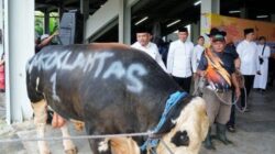 “Di Hari Raya Idul Adha, Korlantas Polri Hadirkan 56 Sapi dan 16 Kambing untuk Kurban”