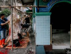“Makan Daging Berlebih? Ini Dampak yang Mungkin Mengejutkan Anda, Cek di Sini!”