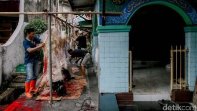“Makan Daging Berlebih? Ini Dampak yang Mungkin Mengejutkan Anda, Cek di Sini!”