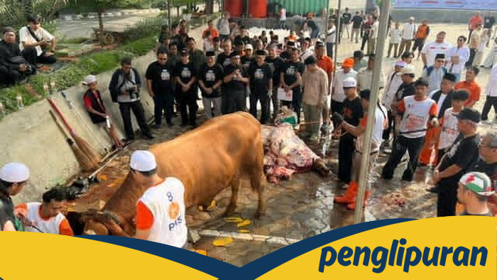 Ribuan Hewan Sembelih PKS, 4.294 Sapi dan 5.453 Kambing untuk Masyarakat