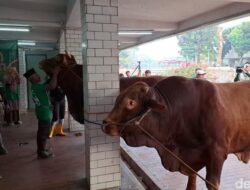 Apakah Daging Kurban Boleh Jadi Makanan Panitia? Jawabannya Mungkin Mengejutkan!