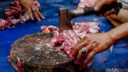 Sembelit? Ini Cara Ampuh Mengatasi Akibat Makan Daging Berlebihan, Yuk Coba!