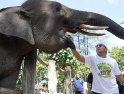 Kapolda Riau Bawa Gerakan Hijau, Kaos Kampanye Ajak Warga Jaga Tesso Nilo