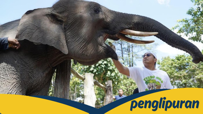 Kapolda Riau Bawa Gerakan Hijau, Kaos Kampanye Ajak Warga Jaga Tesso Nilo