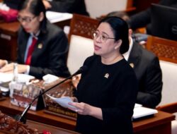 Virus Hanta Meneror, Puan Desak Pemerintah Akselerasi Rapid Test