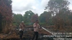 Polisi Tangkap Pelaku Kebakaran 5 Ha Lahan di Inhil