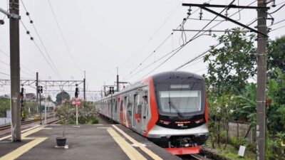 Ancaman Hukuman bagi Pencuri Batu, Vandalisme Bisa Dipidana!