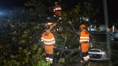 Hujan Deras-Angin Kencang di Bogor, Pohon Tumbang, Timpa Mobil