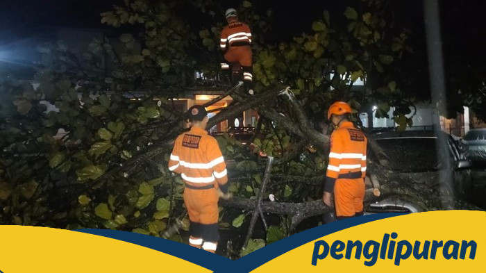 Hujan Deras-Angin Kencang di Bogor, Pohon Tumbang, Timpa Mobil