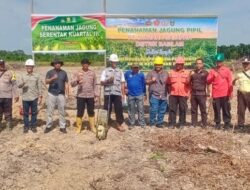 **Dukung Ketahanan Pangan, Polres Dumai Tanam Jagung di 1 Hektare**