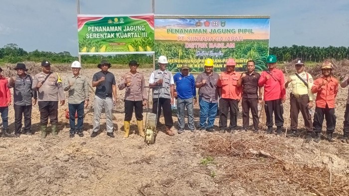 **Dukung Ketahanan Pangan, Polres Dumai Tanam Jagung di 1 Hektare**