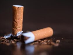 **Rokok Ilegal di Bogor: Jutaan Batang Disita dalam Dua Tahun, Tim Gabungan Beraksi!**