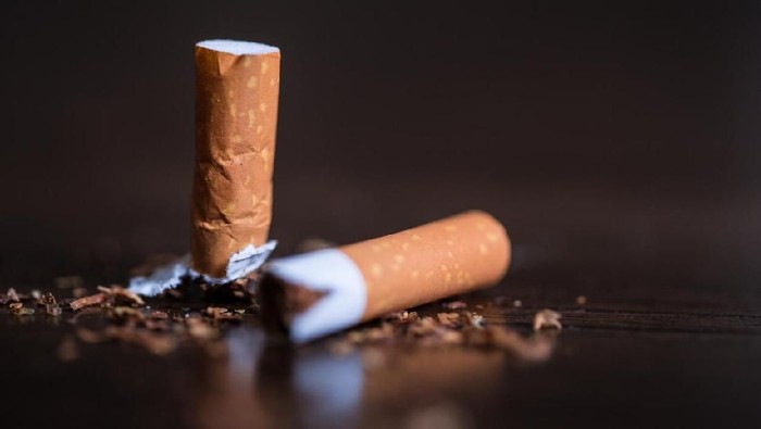 **Rokok Ilegal di Bogor: Jutaan Batang Disita dalam Dua Tahun, Tim Gabungan Beraksi!**