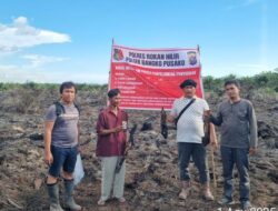Puntung Rokok Bikin Lahan di Rohil Terbakar, Poniran Gagal Lari dari Polisi