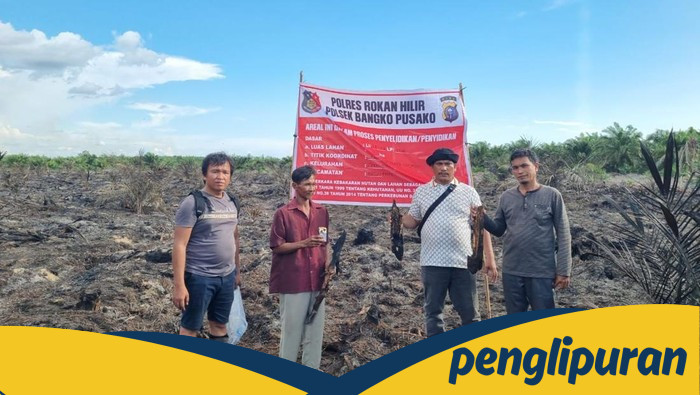 Puntung Rokok Bikin Lahan di Rohil Terbakar, Poniran Gagal Lari dari Polisi