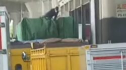 **Tragedi Cilincing: Kakek Tewas Tertimpa Dongkrak dari Bajilo, Pelaku Dibekuk Polisi**
