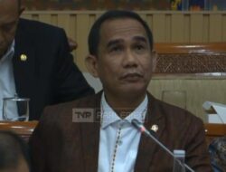 Legislator NasDem Puji Prabowo Bijak, Amnesti Hasto-Abolisi Tom Lembong?